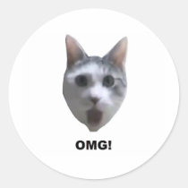 OMG CAT! (what has he seen?) stickers