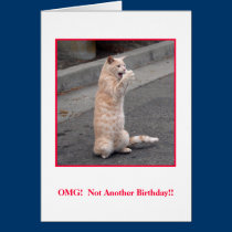 OMG:  Not Another Birthday! cards
