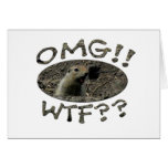 OMG WTF Gopher Cards