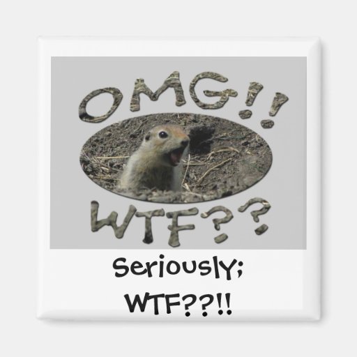 OMG WTF Gopher; Sassy Fridge Magnet