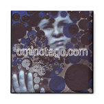 OminOtagO.com Magnet