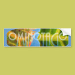 OminOtagO Sticker (color logo) bumper stickers