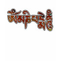OmManiPadmeHum t-shirts