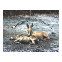 Omnia Vincit Amor posters by Glaucidium Omnia Vincit Amor posters