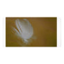 On A Wisp of a feather Photo Cards