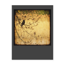 On an Evening Walk ... postcards