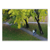 On Campus cards by picsofto On Campus cards
