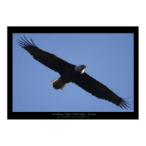 "ON FREEDOM'S WING" Photo Print by RavenSpiritPrints "ON FREEDOM'S WING" Photo Print