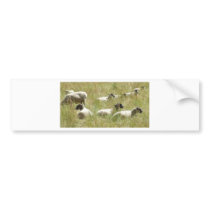 On Guard Bumper Sticker
