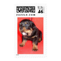 On Guard Duty postage