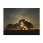 On Mornings Like This Post Cards