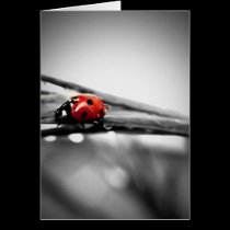 On My Way Card cards