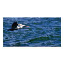 On my way_ photo cards by ELENNE On my way_ photo cards
