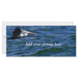 On my way_ rack cards
