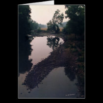  on Rocky River cards