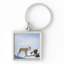 on snow covered terrain keychains