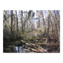 On the Bayou posters by ThirteenReasons On the Bayou posters
