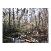 On the Bayou posters by ThirteenReasons On the Bayou posters