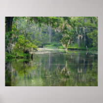 On the Bayou Posters