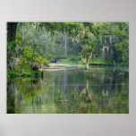 On the Bayou Posters