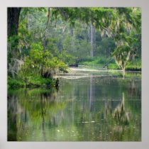 On the Bayou Print