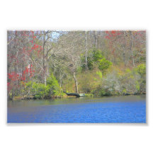 On The Bayou Print Extra Small Photograph