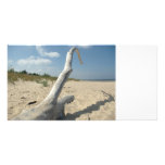 On the Beach - Photocard Photo Cards