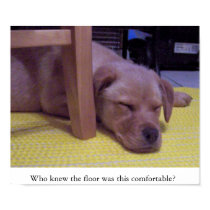 On the floor posters