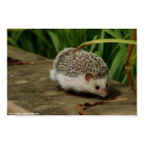 on the go poster posters by hedgehogworld on the go poster posters