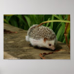 on the go poster