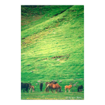 on the grass 2 posters by stimmt on the grass 2 posters