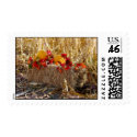 On the Hay Bale postage by Killlashandra On the Hay Bale postage