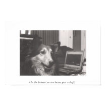 On the Internet no one knows your a dog!! posters
