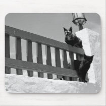 On the lookout