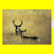 On the Lookout Mule Deer cards