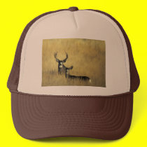 On the Lookout Mule Deer hats