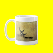 On the Lookout Mule Deer mugs