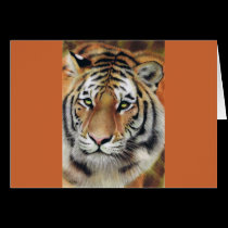 On The Prowl cards