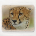 On The Prowl Mousepad