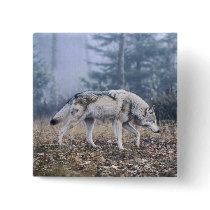 On the Prowl Timber Wolf buttons by natureswild On the Prowl Timber Wolf buttons