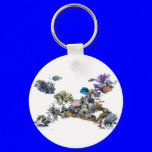 On The Reef-Aquarium Scene by FishTs.com