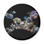 On The Reef-Aquarium Scene by FishTs.com