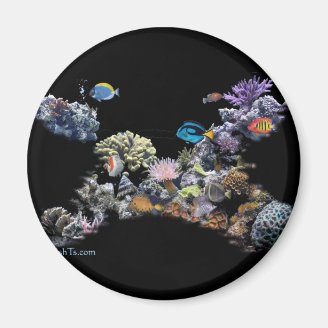 On The Reef-Aquarium Scene by FishTs.com Magnets