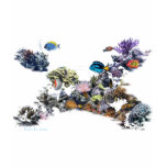 On The Reef-Aquarium Scene by FishTs.com