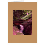 On the Right Path Card