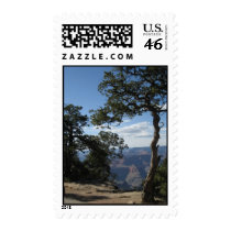 "On the Rim" Grand Canyon AZ postage by Blinnderful "On the Rim" Grand Canyon AZ postage