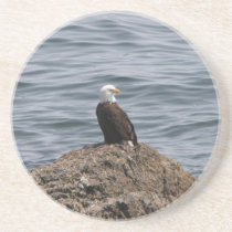"On the Rock!" coasters