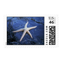 On The Rocks postage by Paddydee56 On The Rocks postage