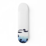 on the rocks skateboard