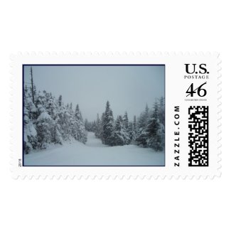 On the Trail stamp